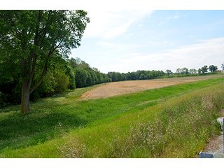 Property photo 3 - FARM & LAND AUCTION - 125+/- ACRES OFFERED IN 5 TRACTS IN EAST ALLEN COUNTY, INDIANA